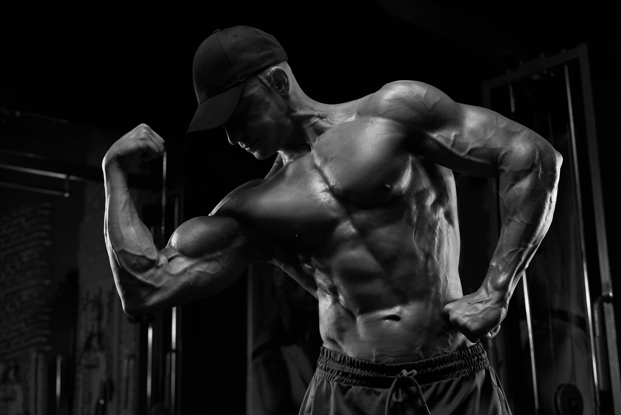 Muscle Building & Performance